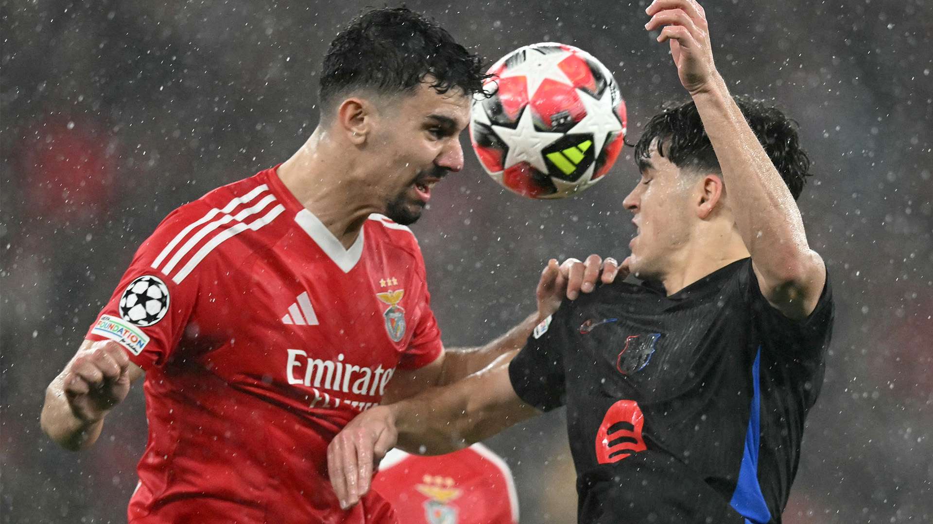 阳光和青春 阳光和青春