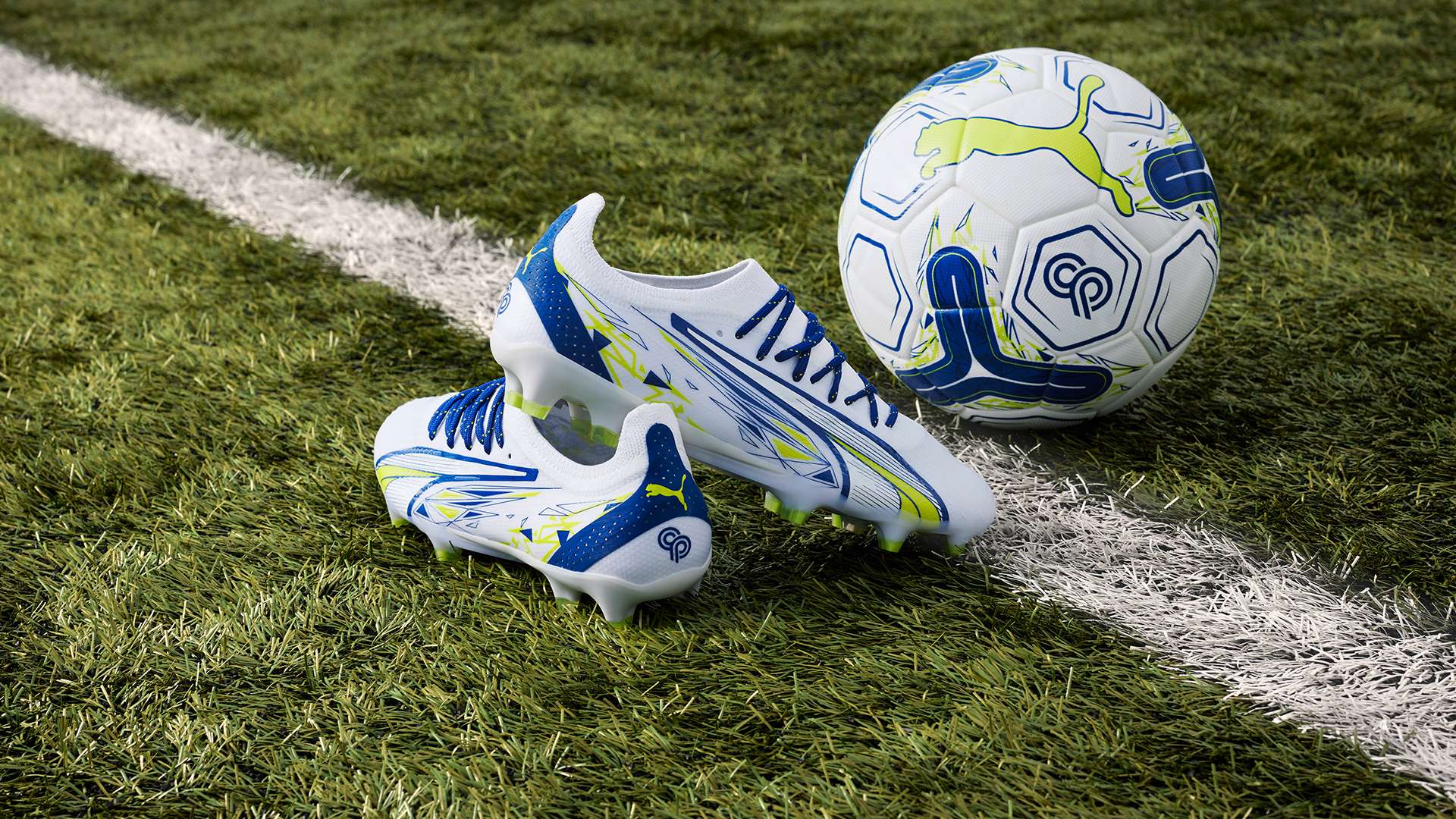 研究的对象 研究的对象