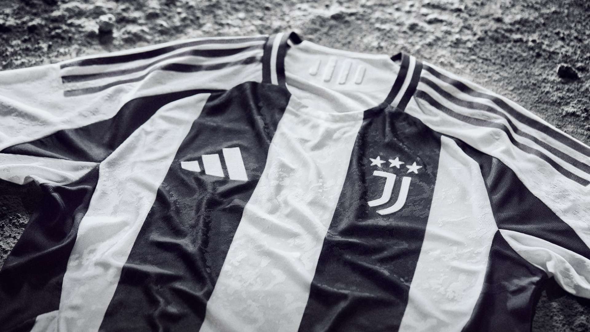 培养团队精 培养团队精