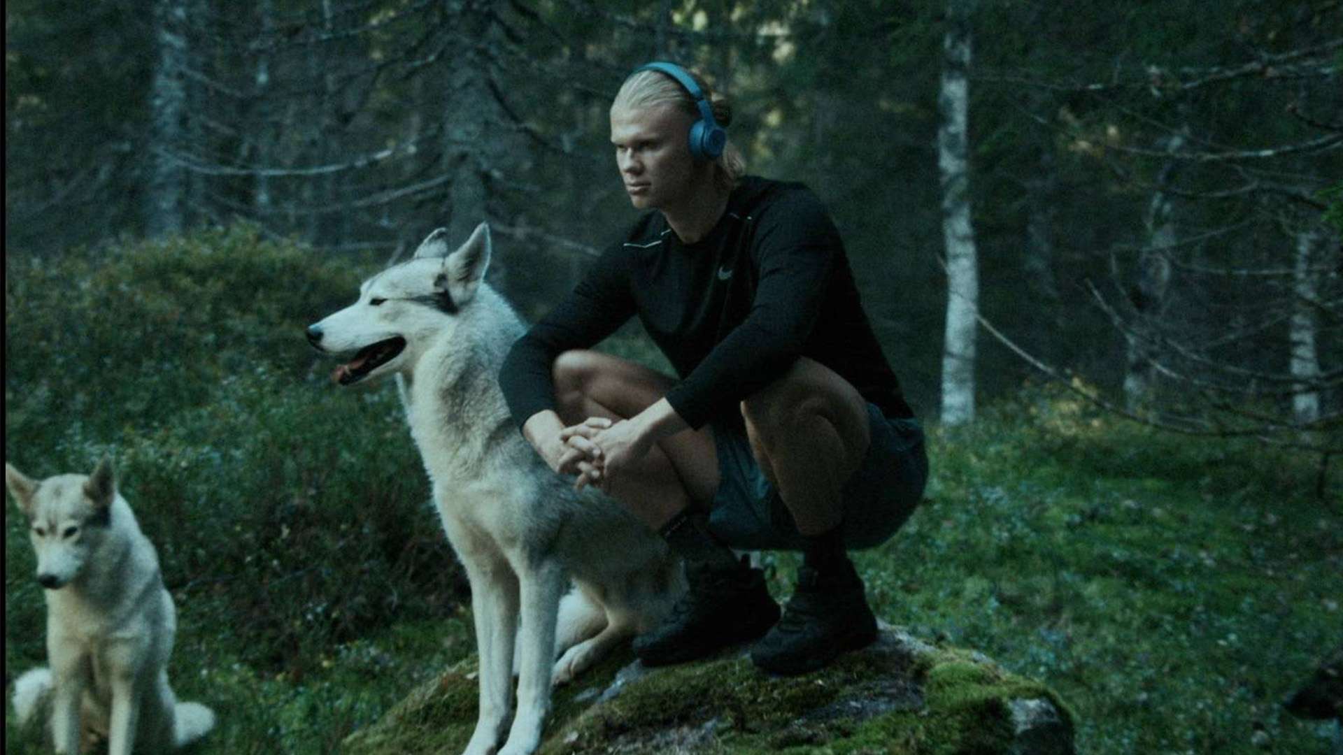 掌握急停技 掌握急停技